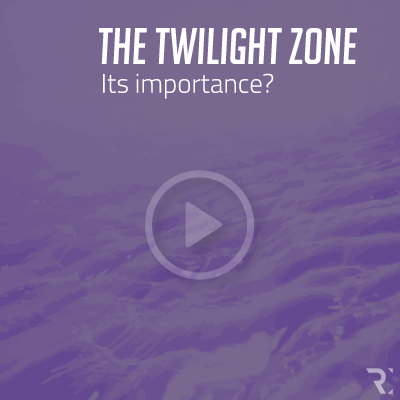 THE TWILIGHT ZONE: ITS IMPORTANCE