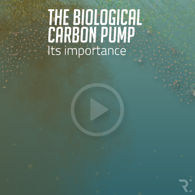 THE BIOLOGICAL CARBON PUMP: ITS IMPORTANCE