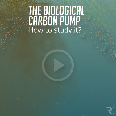 THE BIOLOGICAL CARBON PUMP: HOW TO STUDY IT?