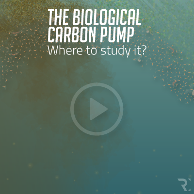 THE BIOLOGICAL CARBON PUMP : WHERE TO STUDY IT?