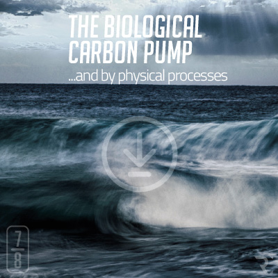 (7/8)-THE BIOLOGICAL CARBON PUMP